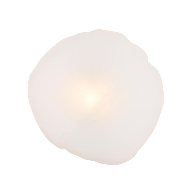 Telbix Zecca Wall Light G9 Black Frost ZECCAWB-BKFR - The Blue Space