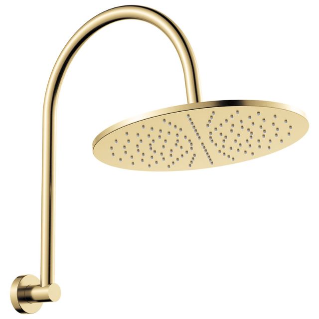 Fienza Empire Slim Curved Shower Arm Set Urban Brass 411109UB-D - The Blue Space