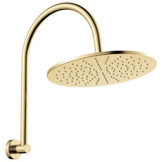 Fienza Empire Slim Curved Shower Arm Set Urban Brass 411109UB-D - The Blue Space