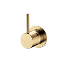 Fienza Kaya Up Wall Mixer Small Round Plate Urban Brass 228114UB - The Blue Space