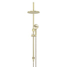 Front Meir Gooseneck Shower Set with 200mm Rose, Three-Function Hand Shower Tiger Bronze MZ0904-PVDBB - The Blue Space