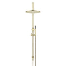 Front Meir Gooseneck Shower Set with 300mm rose, Single-Function Hand Shower Tiger Bronze MZ0906-R-PVDBB - The Blue Space