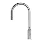 Buy Online Nero York Pull Out Sink Mixer With Vegie Spray Function With Metal Lever Chrome NR69210802CH - The Blue Space