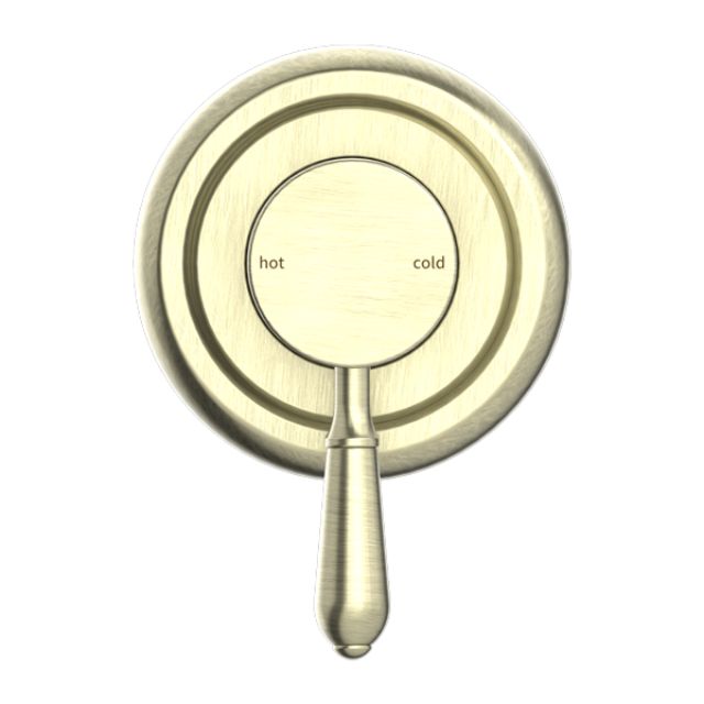 Buy Online Nero York Shower Mixer With Metal Lever Aged Brass NR69210902AB - The Blue Space