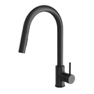 Phoenix Pina Pull Out Sink Mixer Matte Black 153-7105-10-1 - The Blue Space